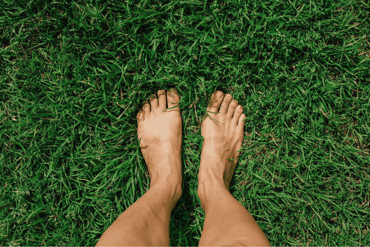 Bare feet standing on short green grass in daylight.